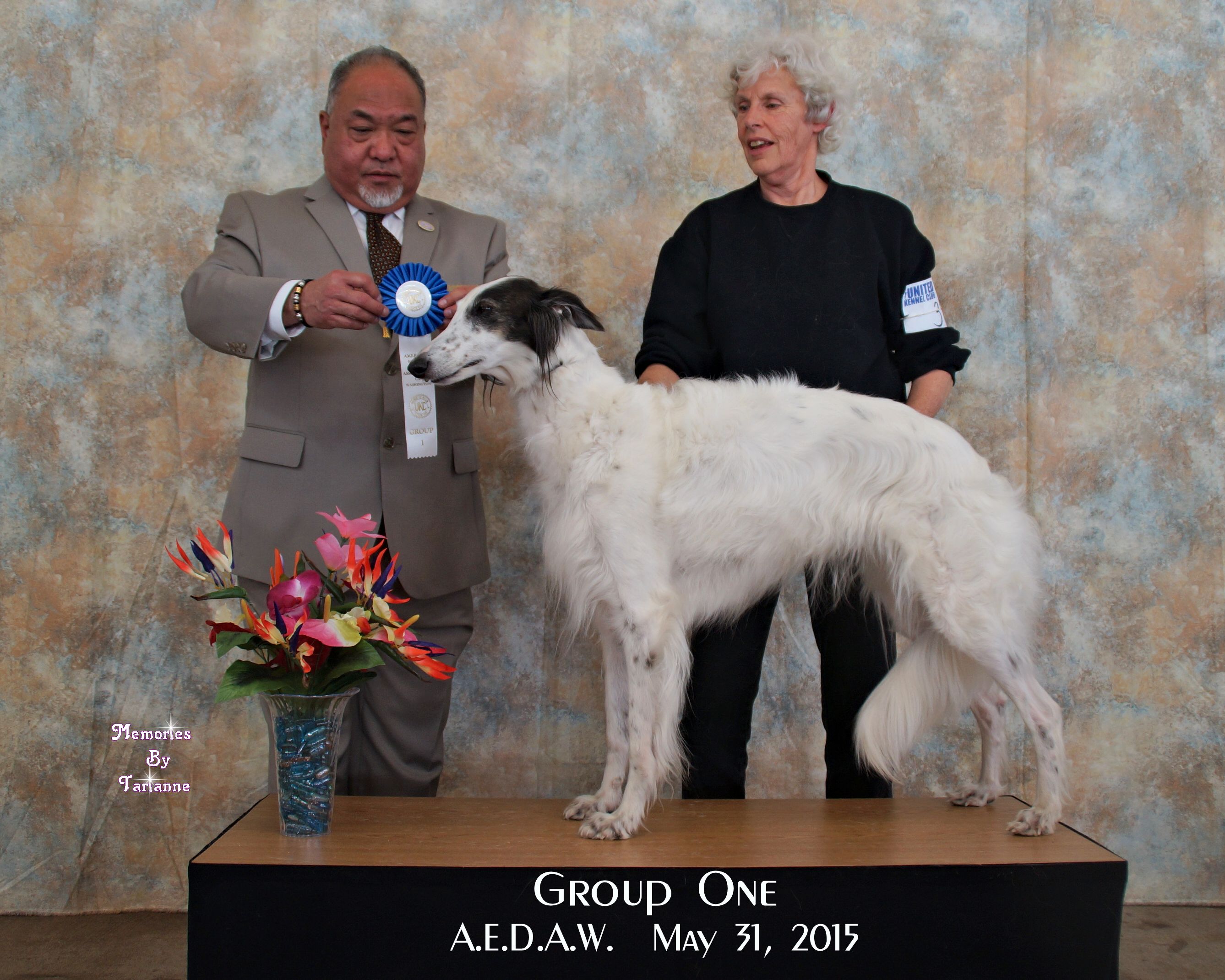 Bali Winning the Sighthound group 05/31/2015